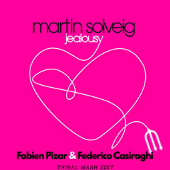 Martin Solveig - Jealousy (Fabien Pizar, Casiraghi bootleg tribal-edit) FILTERED X COPYRIGHT