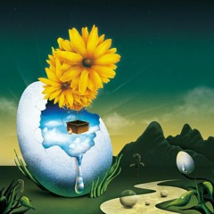 이승윤 - 웃어주었어