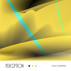 Perception from DAMNC
