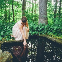 Reflectyons