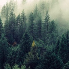 Mountain Mike deep organic vibes - Quarantane mix