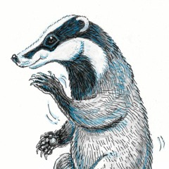 1 Marching Badger