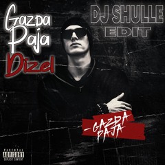GAZDA PAJA - DIZEL TECH HOUSE REMIX (DJ SHULLE EDIT JANUAR 2K25)