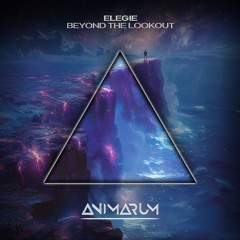 Beyond The Lookout [Animarum Recordings]