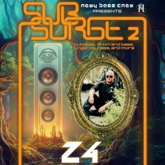 Live @ Subsurge 2 - 2025