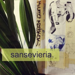 sansevieria. (lost demos)
