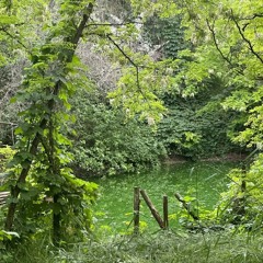 сепарируешь и выражаешь (prod. @greyrock, @junoes)