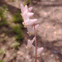 20200115_205108_18.MP3