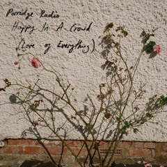 Porridge Radio - Happy In A Crowd