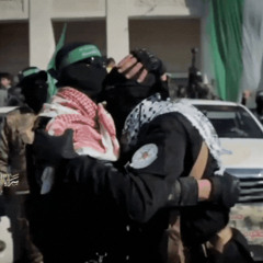 الخلايا القساميه