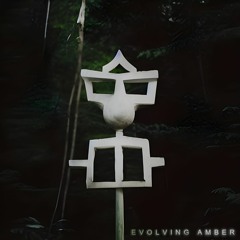 Evolving Amber