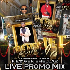 OFFICIAL MET GALA PROMO MIX 2025 | MIXED BY @YOUNGERVIBESUK HOSTED BY @DJTRIZZY