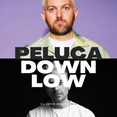 Dillon Francis & Cassimm - Peluca Downlow (Lorrin Mashup Mix)