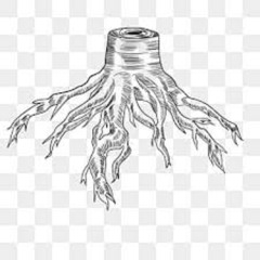 djmikewinston STILLDIGGINGATTHOSEROOTS