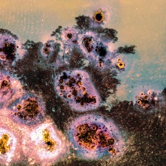 d e s i n t e g r a c i ó n