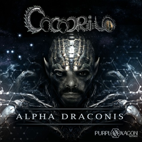 Cocodrilo_Possible Contact