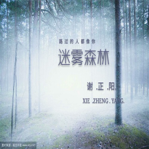 迷雾森林by 谢正阳 迷雾森林by 谢正阳
