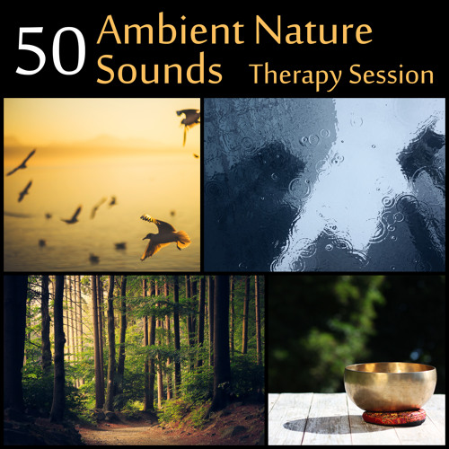 Stream Relaxing Nature Sounds Collection | Listen to 50 Ambient Nature  Sounds: Therapy Session - Serenity Instrumental Music for Yoga, Meditation,  Relax of Spa (Flute & Piano, Tibetan Bowls, Waterfall, Calm Sea,