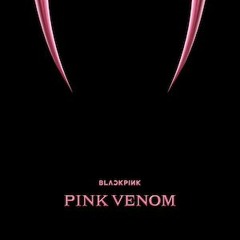 BLACKPINK - Pink Venom  (DJ Kevin Adam Drum&Bass Edit)