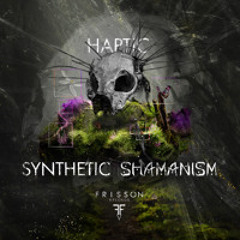 Haptic -  The Feather Collector ( Original Mix )