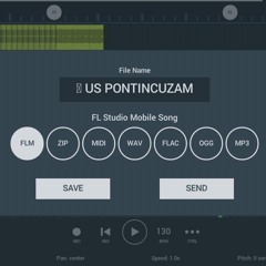 US PONTINCUZAM