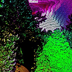 Dreaming Track