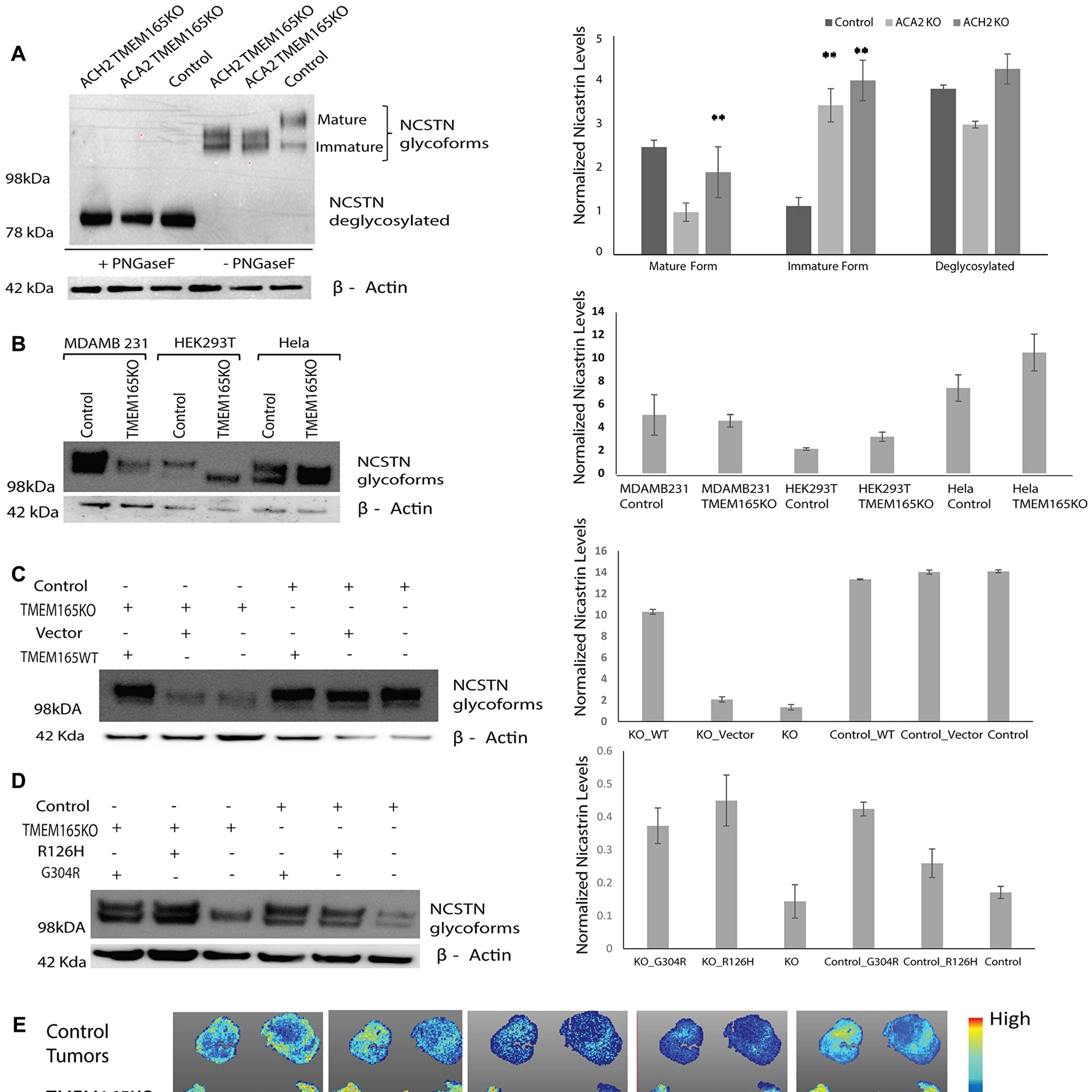 Oncotarget