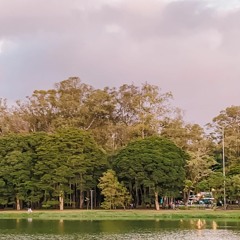Meditação Especial para 2022