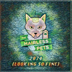 The Hairless Pets - 2074 (Looking So Fine)