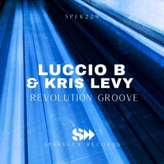 Luccio B, Kris Levy - Revolution Groove