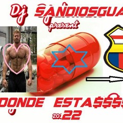 DONDE ESTAS/ SandiosguaTemaltEco
