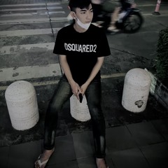 VIETMIX - 2in1 MTP 2k25