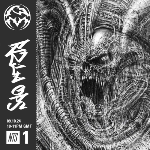 PM RADIO [NTS] Endgame & Rizla Ops (9.10.24)