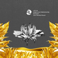 Premiere: Sisko Electrofanatik - My Realm (Instrumental Mix) [AnalyticTrail]