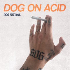 PW PREMIERE | Dog On Acid - 909 Ritual [FREE DL]