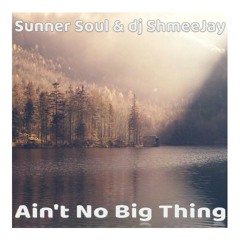 Sunner Soul & dj ShmeeJay -  Ain't No Big Thing