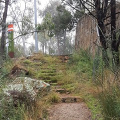 Walking in the Australian Alps (original)