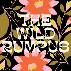 Wild Rumpus 2024 - Closing Set (Mastered)