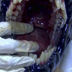 Execrate - rawr xD @40kys@40kys