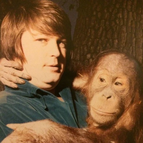 Average Unreleased Beach Boys Song