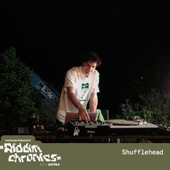 Riddim Chronics Special Mix