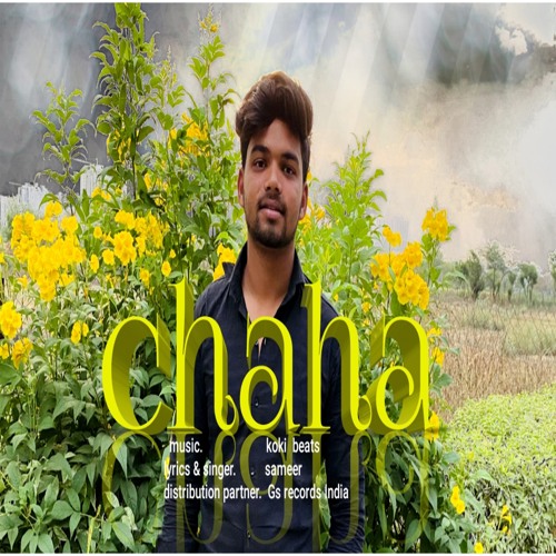 Chaha
