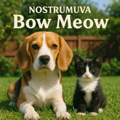 Bow Meow
