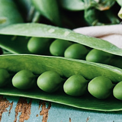 Pass the Peas