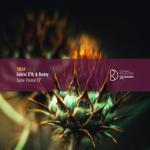 GDB - DIBOK