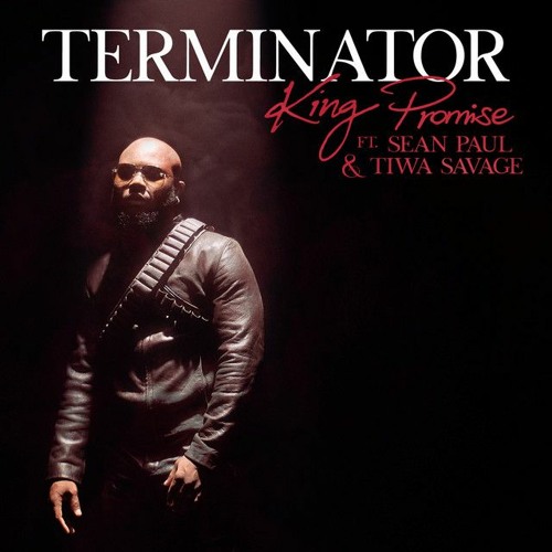 KING PROMISE FT. SEAN PAUL & TIWA SAVAGE - TERMINATOR RMX  ('MONALISA' EDIT)