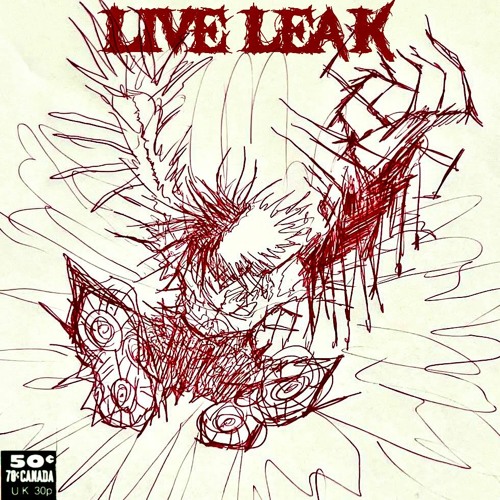 WWW.LIVELEAK.COM
