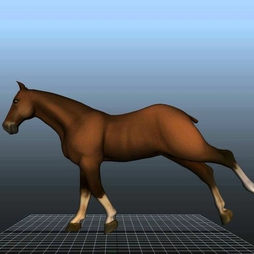 кυяzєя gαℓℓσρ