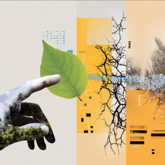 Branding for All Senses: How Multi-Sensory Storytelling Boosts Recall and Impact