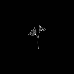 lia - milk & light (kenxi bootleg) FREE DL